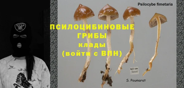 spice Баксан