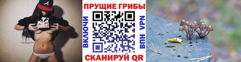 hydra ТОР  Никольское  Псилоцибиновые грибы прущие грибы 